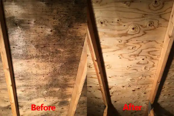water damage restoration service Le Center